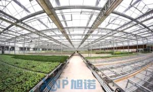 蔬菜溫室大棚可以使用麻豆免费看视频做骨架嗎？